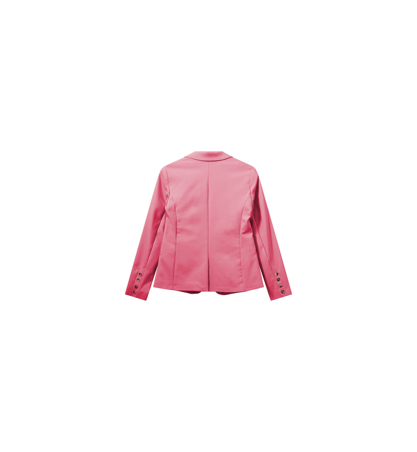 Packshot / Camellia Rose / Back