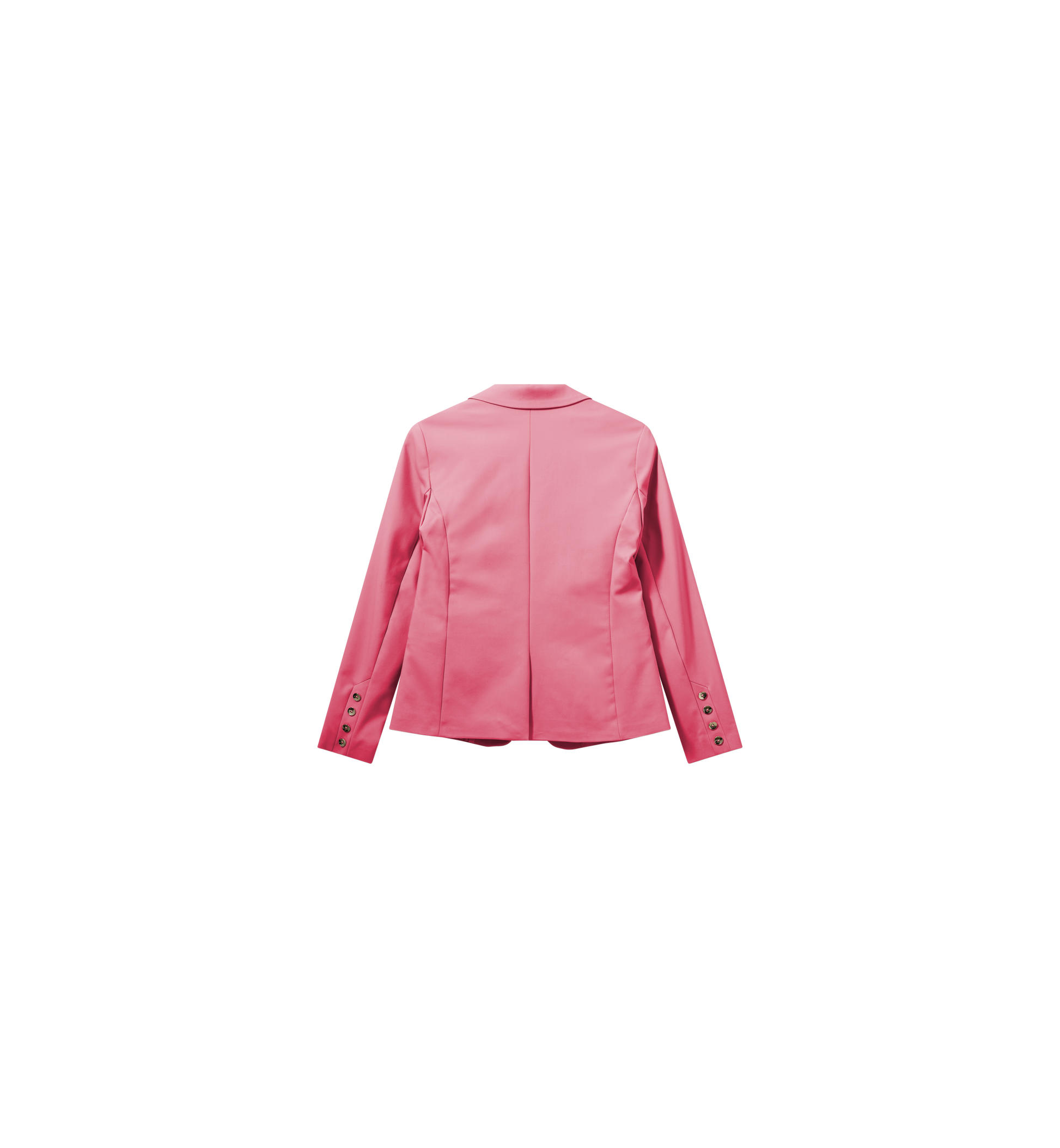 Packshot / Camellia Rose / Back